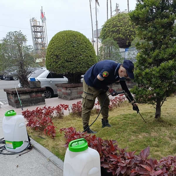 高雄園藝空間白蟻蟲害防治