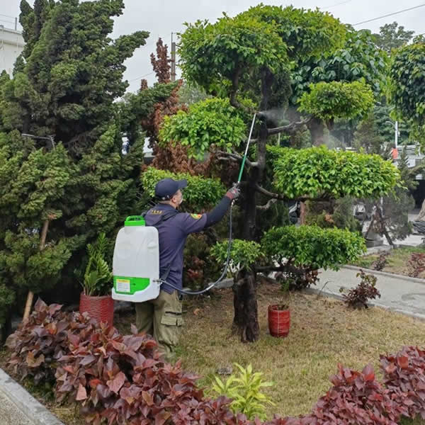 高雄園藝空間白蟻蟲害防治