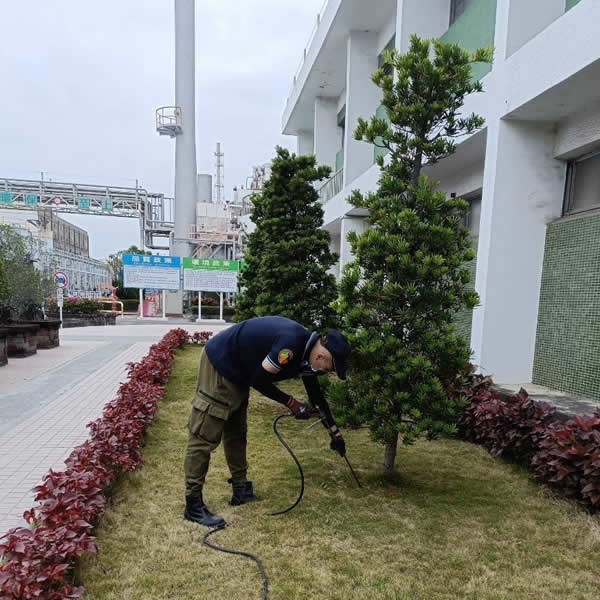 高雄園藝空間白蟻蟲害防治