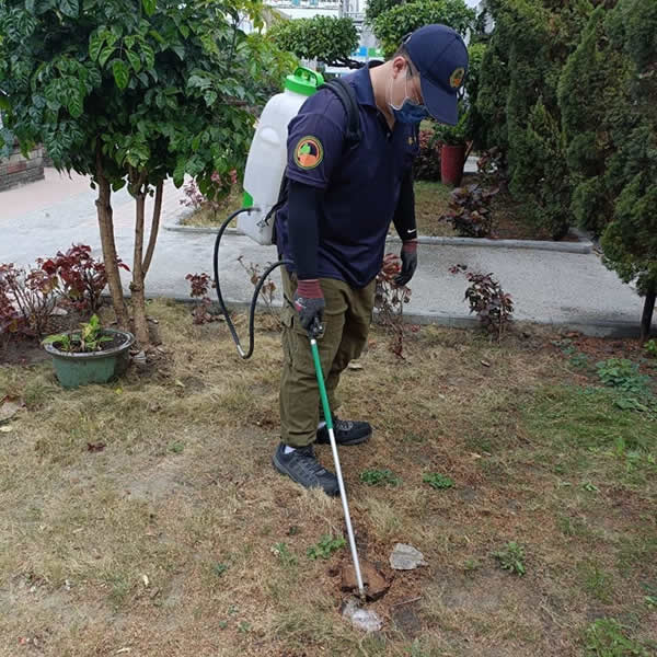 高雄園藝空間白蟻蟲害防治