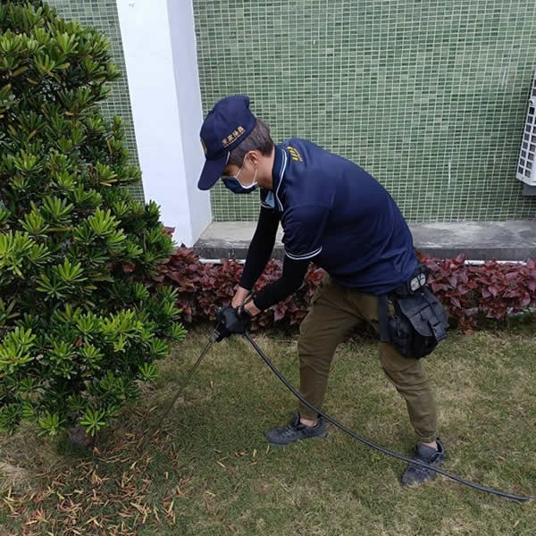 高雄園藝空間白蟻蟲害防治