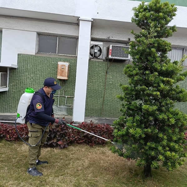 高雄園藝空間白蟻蟲害防治