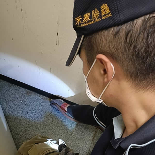 台南銀行白蟻蟲害防治