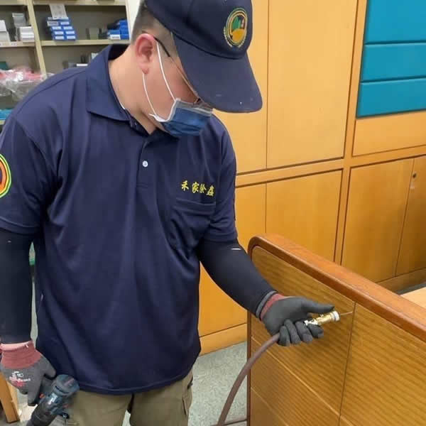 台南銀行白蟻蟲害防治