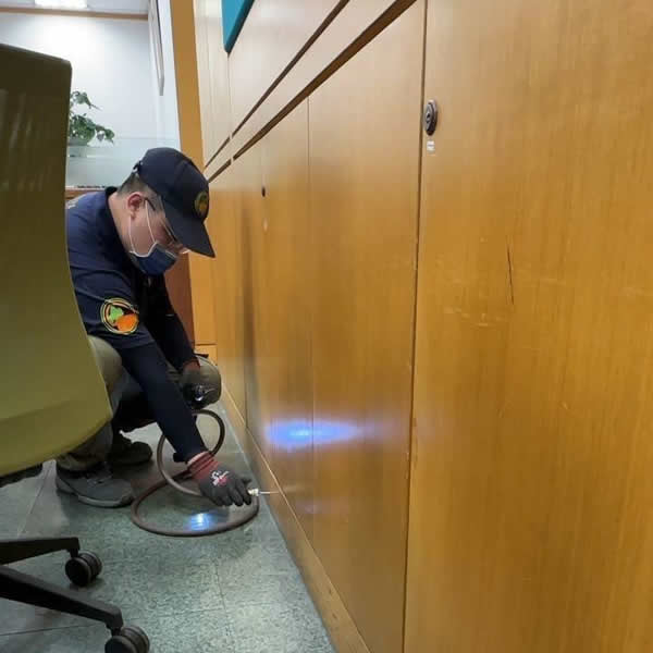 台南銀行白蟻蟲害防治