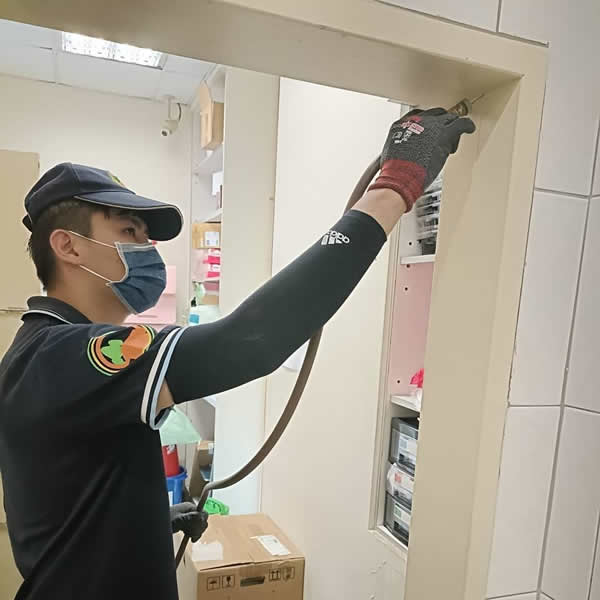 台南銀行白蟻蟲害防治
