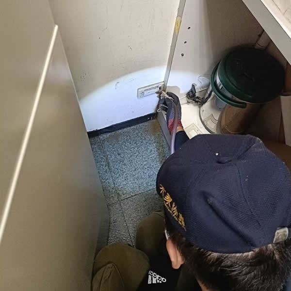 台南銀行白蟻蟲害防治