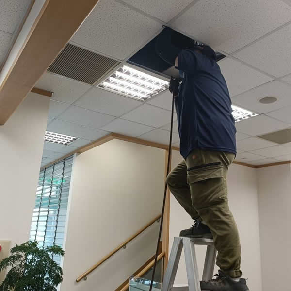 台南銀行白蟻蟲害防治