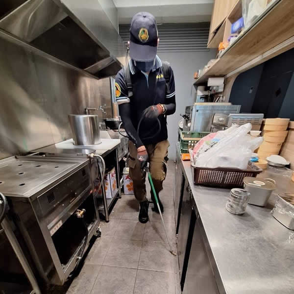 高雄餐廳蟑螂蟲害防治