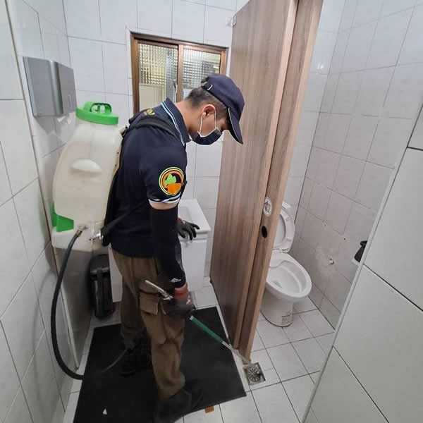 高雄餐廳蟑螂蟲害防治