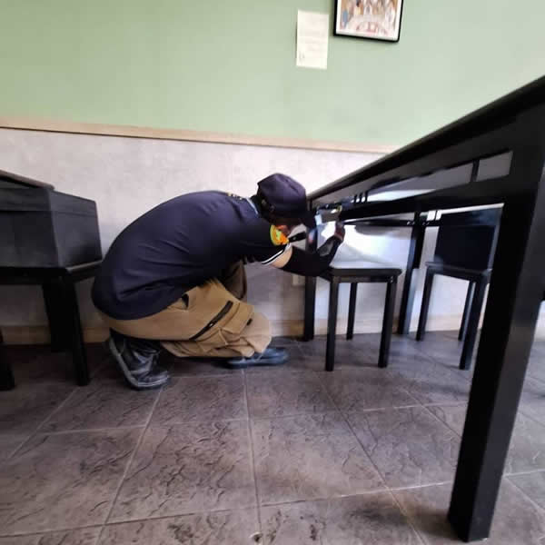 高雄餐廳蟑螂蟲害防治