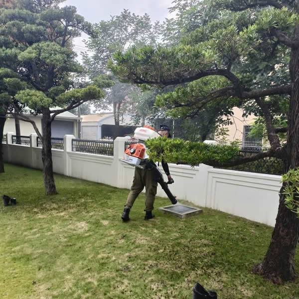 屏東戶外空間環境消毒防治