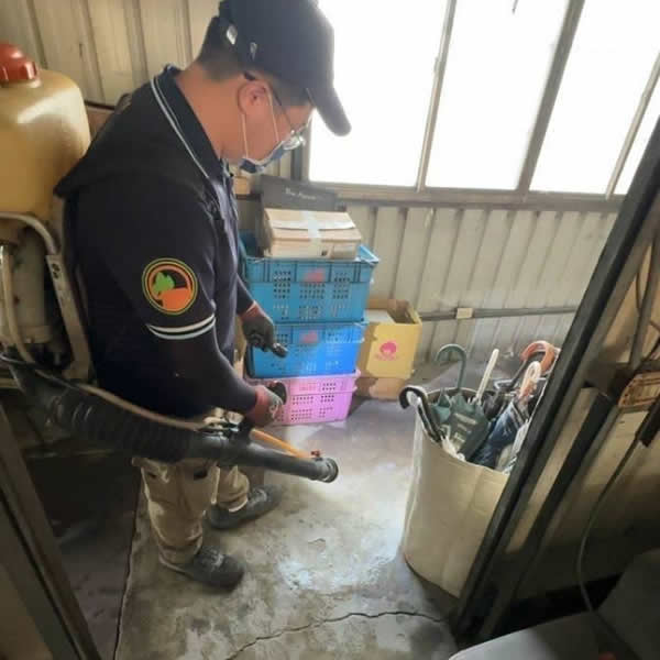 高雄公司行號跳蚤蟲害防治