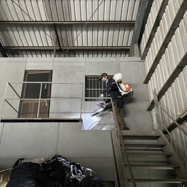 高雄公司行號跳蚤蟲害防治