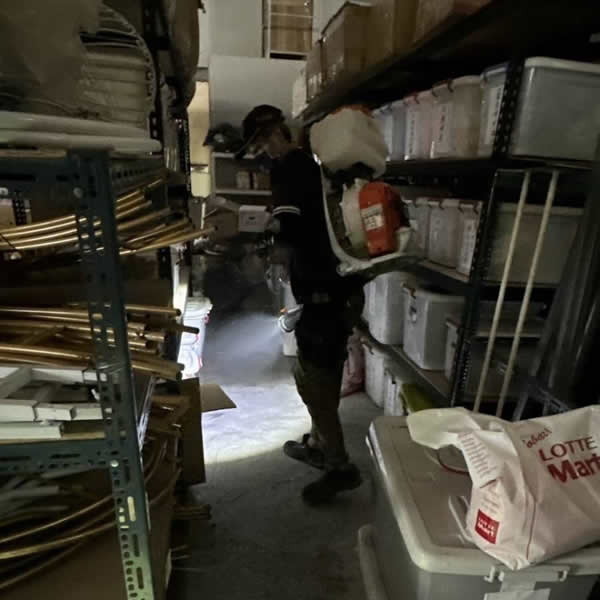 高雄公司行號跳蚤蟲害防治